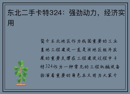 东北二手卡特324：强劲动力，经济实用